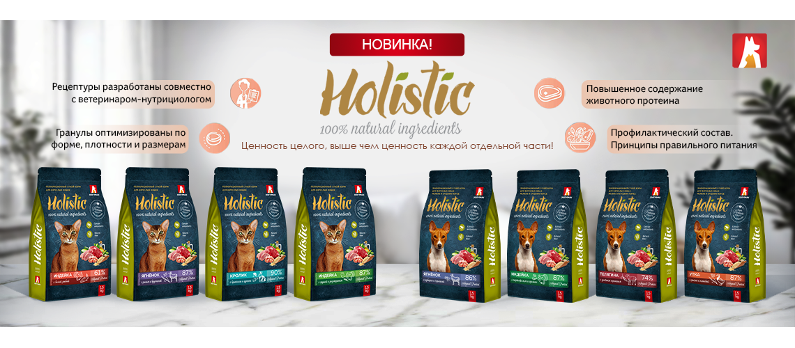 Holistik